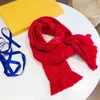 Fashion Wool Sconef Autumn e Winter Letter Shawl Solid Color Silk Spra