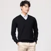 Pulls pour hommes pulls pour hommes hiver mode pull à col en V laine tricot 220823