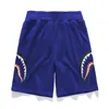 22ss Mens Shorts Tech Summer Print