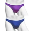 Мужские купальники Сексуальные голубые пурпурные наполовину гип -геи мужчины сунга бикини купания купальники с низкой талией.