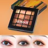 Eyeshadow Eyeshadow Online Celebrity Style 16 Colors O sol nunca coloca os alunos compactos foscos de brilho perolado Beye