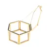 Jewelry Pouches Bags Geometrical Clear Glass Box Storage Organize Holder Tabletop Succulent Plants Container Home StorageJewelry