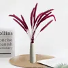 Dekoratif Çiçekler Çelenk Macetas Pequeñas Secas Naturales Para Decoración De Bodas, Plantas Yapaylar, Pampas Pequeñas, Hierba, Phrag