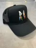 2022 Neueste Farben Ballkappen Luxusdesigner Hat Fashion Trucker Cap hochwertige Stickbuchstaben