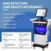 14 em 1 Equipamento de beleza Máquina de beleza hidrafacial vertical Hydro Diamante facial Peel Hydra DermoBrasion Machine Water Jet Aqua Facials