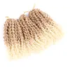 ランズ8インチアフロキンキーカーリー編み髪のマリーボクロシェ髪の編組95g/pcs短い事前にループしたパッションツイストヘアLS05