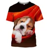 Camisetas masculinas cão animal beagle 3d impressão casual hip hop manga curta engraçada o pescoço camisetas homens mulheres t mamismen's