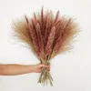 30pcs 45cm Reed Pampas Weizenohren Kaninchen Schwanzgras Natürliche getrocknete Blumen Bouquet Hochzeitsdekoration Heu für Party Böhmian Home294825048