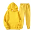 Mens Tracksuit Two Pieces Sets Jackets Hoodie Pants