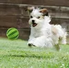 ペットのゴム漏れフードボール犬猫噛むおもちゃインタラクティブ弾力性スイカバイト抵抗歯クリーンプレイ7 cm