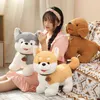 Pc Cm Dessin Animé Chiens En Peluche Belle Simulation Husky Shiba Inu Teddy Chihuahua Schnauzer Poupées Décor Cadeaux J220704