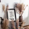 Dekoratif çiçek çelenk gerçek kuru küçük pampas çim grup doğal bitkiler ev dekor phragmites çiçek süs düğün flowerdecora