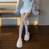 Çoraplar Çorap Kadın Seksi Mesh Külotlu Köpek Fishnet Erotik Naylon Fantezi Çorapları Siyah Beyaz Hitaplar Erişimli Uzun Kızlar Yüksek Fishn