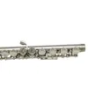 Popular grade 16 closed hole Nickel plated flute