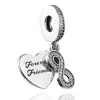 Forever Friends Clear CZ Pendant Charms Beads 925 Sterling Silver Bead Fit Pandora Bracelet Beads Jewelry Making DIY For Women Gift Accessories 791948CZ