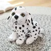 1 Pc 20 Cm Kawaii Simulation Chiens Peluche Jouets Carlin Bouledogue huahua Poupées En Peluche Beau Chiot En Peluche Jouets Pour Enfants Cadeau D'anniversaire J220729