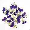 Decorative Flowers & Wreaths Pressed Dried Viola Tricolor L. Pansy Flower Plants Herbarium For Jewelry Postcard Bookmark Phone Case Making D