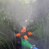 Tambulato Scattering Regolabile Spray Micro Dripper Sprinkler rotante per ugello per il sistema di raffreddamento per irrigazione in serra da giardino