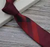 Markendesigner-Krawatten für Herren, 100 % Seiden-Jacquard, klassische gewebte, handgefertigte Krawatte für Herren, Hochzeit, Freizeit- und Business-Krawatte als Geschenk