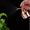 Bouteille d'arrosage en laiton style nordique vintage canettes d'eau plantes succulentes jardinage d'or bouteille de pulvérisation arrosage pot outil de jardin 201203