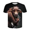 Camisetas masculinas camisetas masculinas Summer Summer Orangutan/Monkey 3D T-shirt Impresso Men Funny Flue Short O-gola Top Tamanho Grande