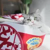 Kedi Kış Çadırı için Pet Ürünleri Komik Erişte Küçük Köpek Yatak Evi Uyku Tulumu Yastık Kediler Peluş Mobilya Aksesuarları 220323