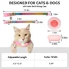 Collari per cani Guinzagli Collare regolabile per gatti per animali domestici con campanello di lusso per piccoli e gatti Custodia Apple Airtag AccessoriCane