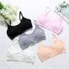 Bustiers Corsets Lingerie Women Cotton All-Match Top Teenage Girl anti-light fit 8-15 년 와이어 무료 통기 가능한 작은 브래지어