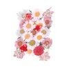 Decorative Flowers & Wreaths Mixed Multiple Pressed Real Dried Natural DIY Resin Jewellery Making(0.04-1.2inch)