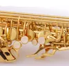 놋쇠 학생 Alto Sax E Flat Lacquered Gold Alto Saxophone 초보자