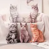 Chats réalistes en peluche Cuddle Simulation American Shorthair Mignon Chat Poupée Jouets Pour Animaux De Compagnie Décor À La Maison Cadeau Pour Les Filles Enfants Anniversaire J220729