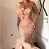 NUEVA LLEGA SEXY COLLA COLLA COLLA PEADING Vestidos de fiesta de la noche con vestidos de noche de princesa formal de manga larga para mujeres de talla grande