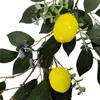 Decorative Flowers & Wreaths 6.5Ft Artificial Garland Faux Eucalyptus Vines With Lemons Spring Fruit DecorDecorative DecorativeDecorative