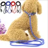 Kołnierze dla psów Smycze Nylon Smycz, Oparte na Pet Pet Pa Pet Chain Collar Regulowany Loop Slip Leash Line Lead