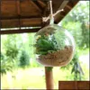 6cm 8cm 10cm Big Terrarium Borossilicate Vasos de flor de vidro pendurado Vasos redondos Vasos de mesa Decora￧￣o de casamento Decora￧￣o transparente Delie