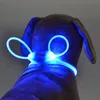 Dog Collars & Leashes Pcs LED Pet Collar Adjustable Night Safety Luminous Light Up Bright Leash Glow In The Dark OutdoorDog