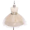 Girl039s Dresses Children Dress Princess Girl Catwalk Show Costume Yellow Floral Super Fairy Sleeveless 210 Age7633679