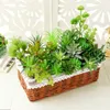 Fiori decorativi Ghirlande Affollamento artificiale Succulente Pianta finta Soggiorno Desktop Decorazione domestica Disposizione dei fiori Decorazione di nozze