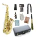 Images réelles Buffet Saxophone Alto Mib Tune Phosphore Bronze Professionnel Bois Avec Sax Embouchure Cas