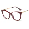 Wholesale- Cat Eye Spectacle Frame Trendy Designer Glasses Myopia Nerd Optical s Female Eyeglass The spring leg W220423