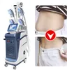 Multifunctionele 360 ​​graden Cryolipolysis Slimming Machine Cryo Cool Tech Cryotherapie Fat Reduction Cellulitis Removal Fat Freezing Body Sculpting Equipment