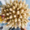Dekoracyjne kwiaty wieńce suszony kwiat bukiet naturalny sztuczny pampas trawa prawdziwa pszenica roślina domowa dekoracja dekoracja ślubna dekoracja ślubna
