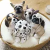 pc CM Kawaii Simulation Dogs Peluche Toy Pug Bulldog Chihuahua Stuffed Dolls Lovely Puppy Plush for Kids Birthday Gift J220704