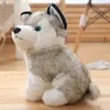 Factory Wholesale 20 cm 25 cm 30 cm peluche bambola animale husky cognello bambole giocattolo regalo per bambini