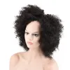 Afro perwersy fala spiral curl peruki afrykańskie czarne peruki kręcone włosy