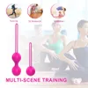 2 pièces/ensemble Massage vaginal Geisha Ben Wa balle souple Silicone Kegel exercice de serrage Vaginal érotique sexy jouet pour les femmes