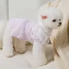 Chien Vêtements Dentelle Vêtements Pour Animaux Chiens Doux Chat Poupée Collier Princesse Robe Vêtements Costume Petit Chaton Mignon Été Rose Fille Garçon YorkshireDog