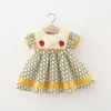 Robes de fille bébé fille vêtements infantile tenues décontractées enfants imprimer broderie fraise princesse robe enfant en bas âge été mignon vêtementsgirl'