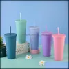 Tumblers Drinkware Kitchen Dining Bar Home Garden Ll 22Oz Matte Colored Acrylic Water Bottles With Lids And Sts Doubl Dhcyb