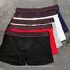 Designers brand Mens Boxer men Underpants Brief For Man UnderPant Sexy Underwear Male Boxers Cotton Underwears Shorts 5 Pieces Come